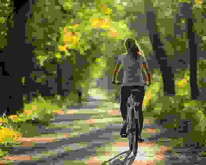 SFDI – Výstavba nebo opravy cyklostezek
